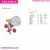 Pearl Krabs Spongebob Squarepants Embroidery Design